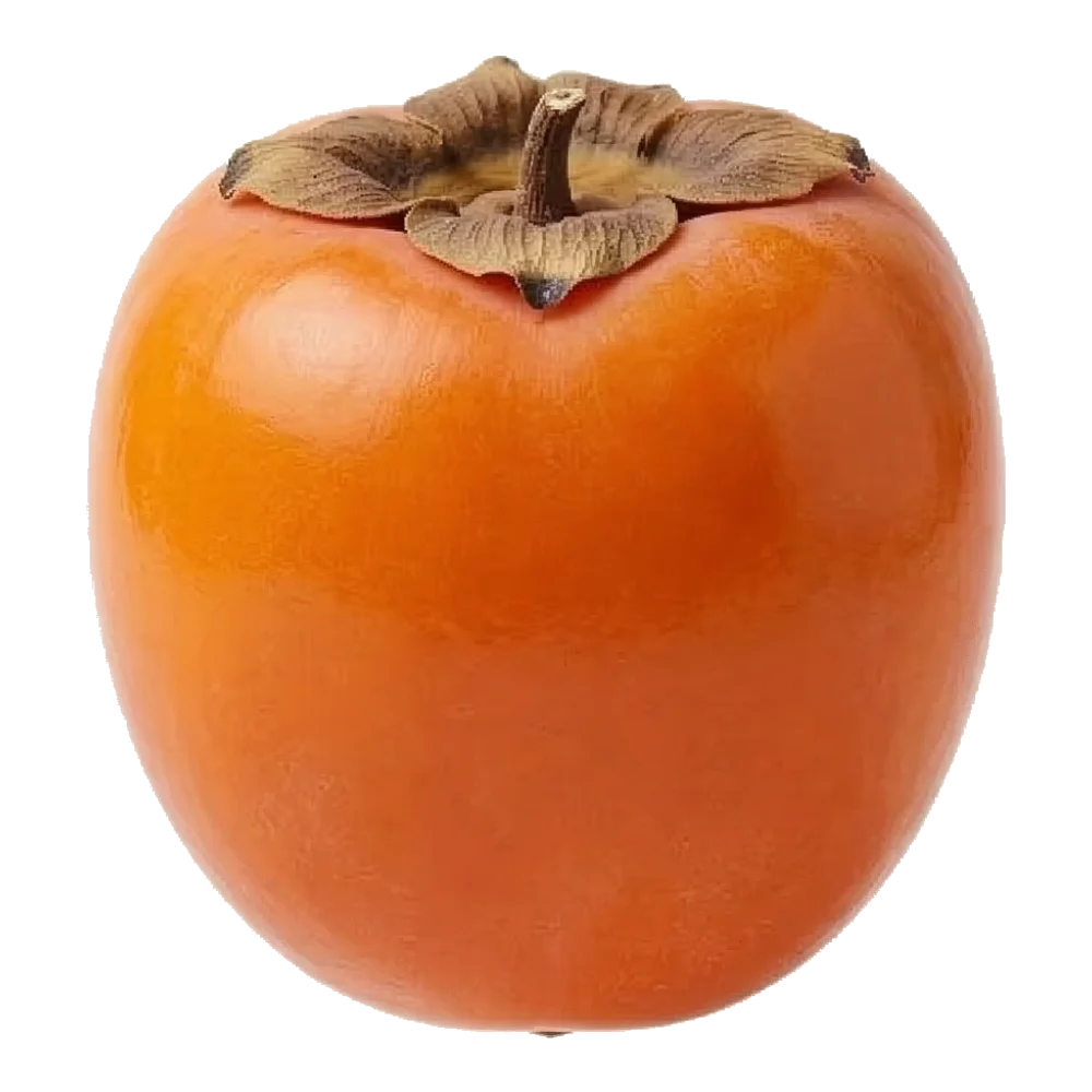 Хурма