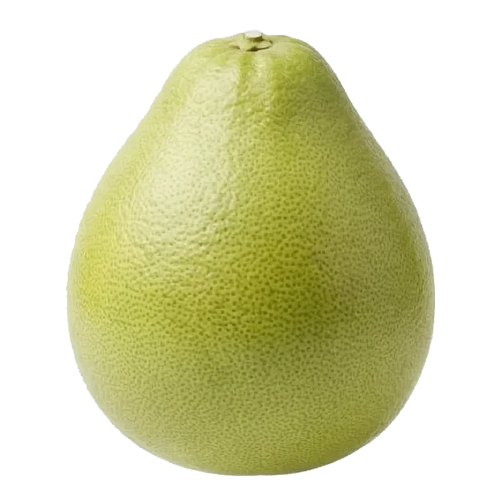 Помело